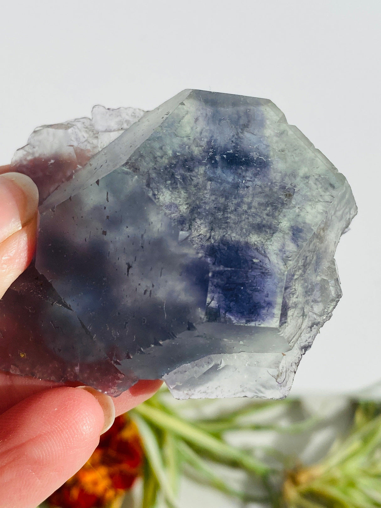 Rainbow Fluorite cluster FLU-05 - Nature's Magick