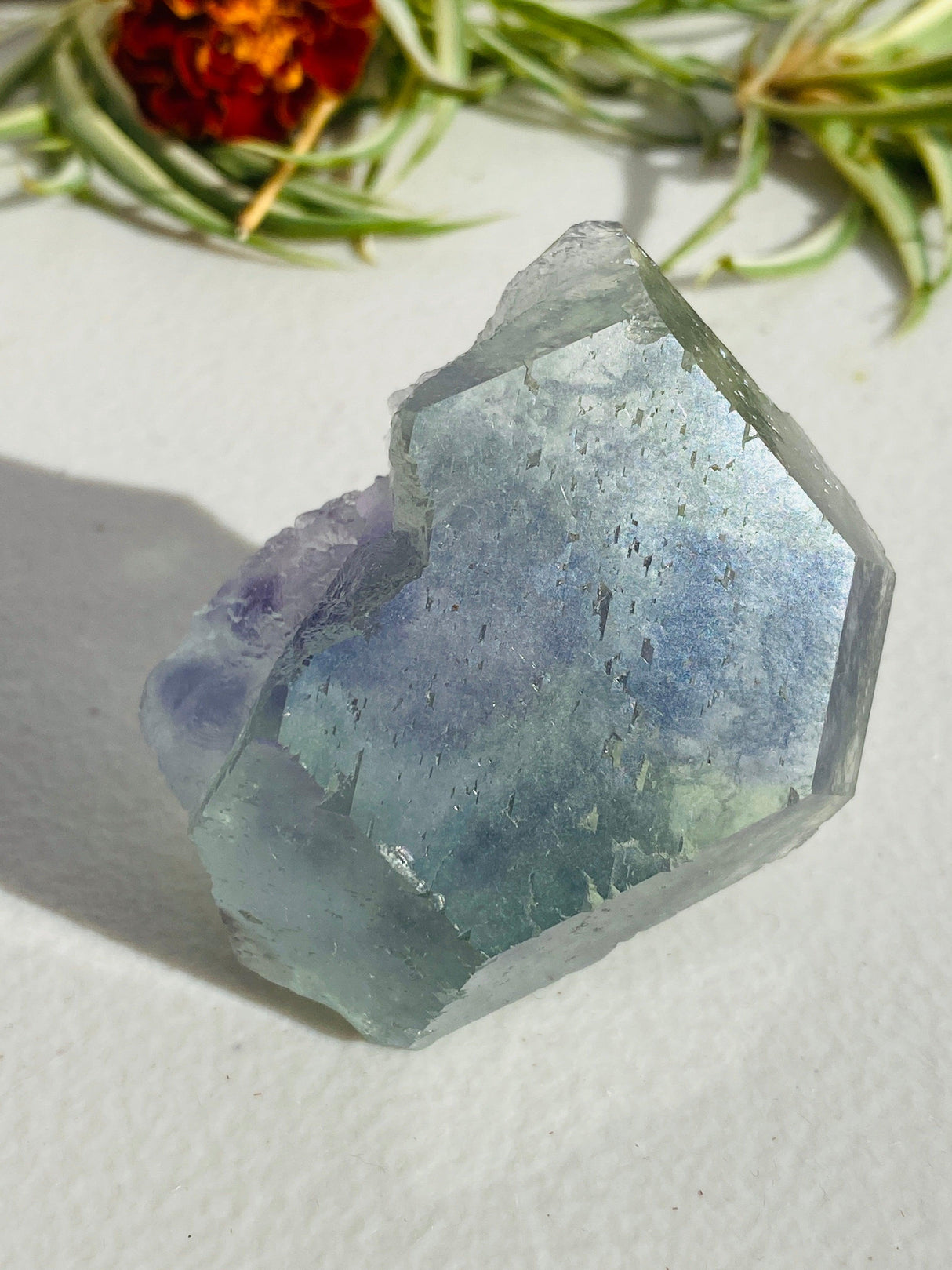 Rainbow Fluorite cluster FLU-06 - Nature's Magick