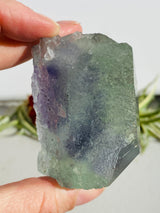 Rainbow Fluorite cluster FLU-06 - Nature's Magick