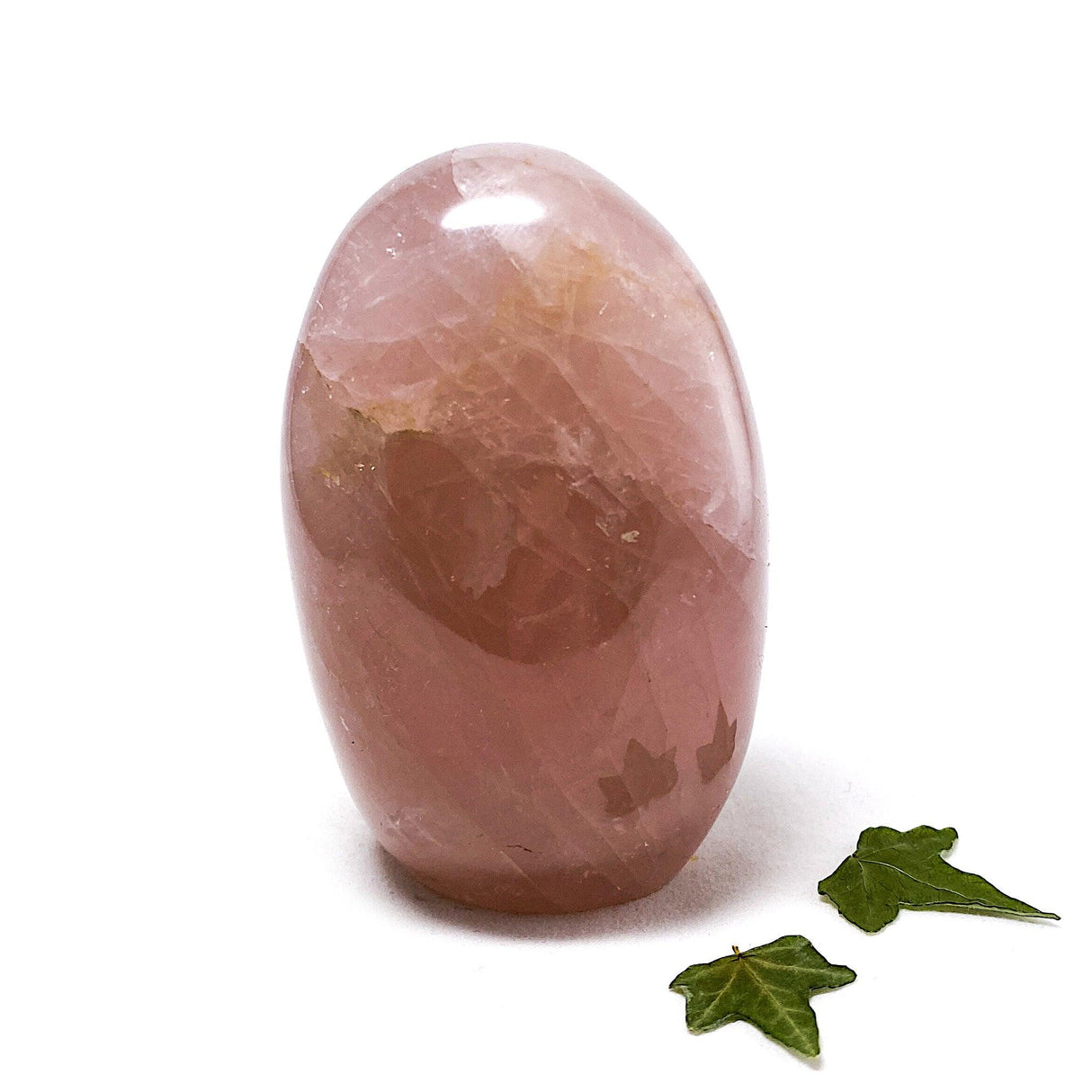 Rose quartz freeform 246g CR2977 - Nature's Magick