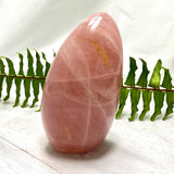 Rose Quartz Freeform RQFR-01 - Nature's Magick