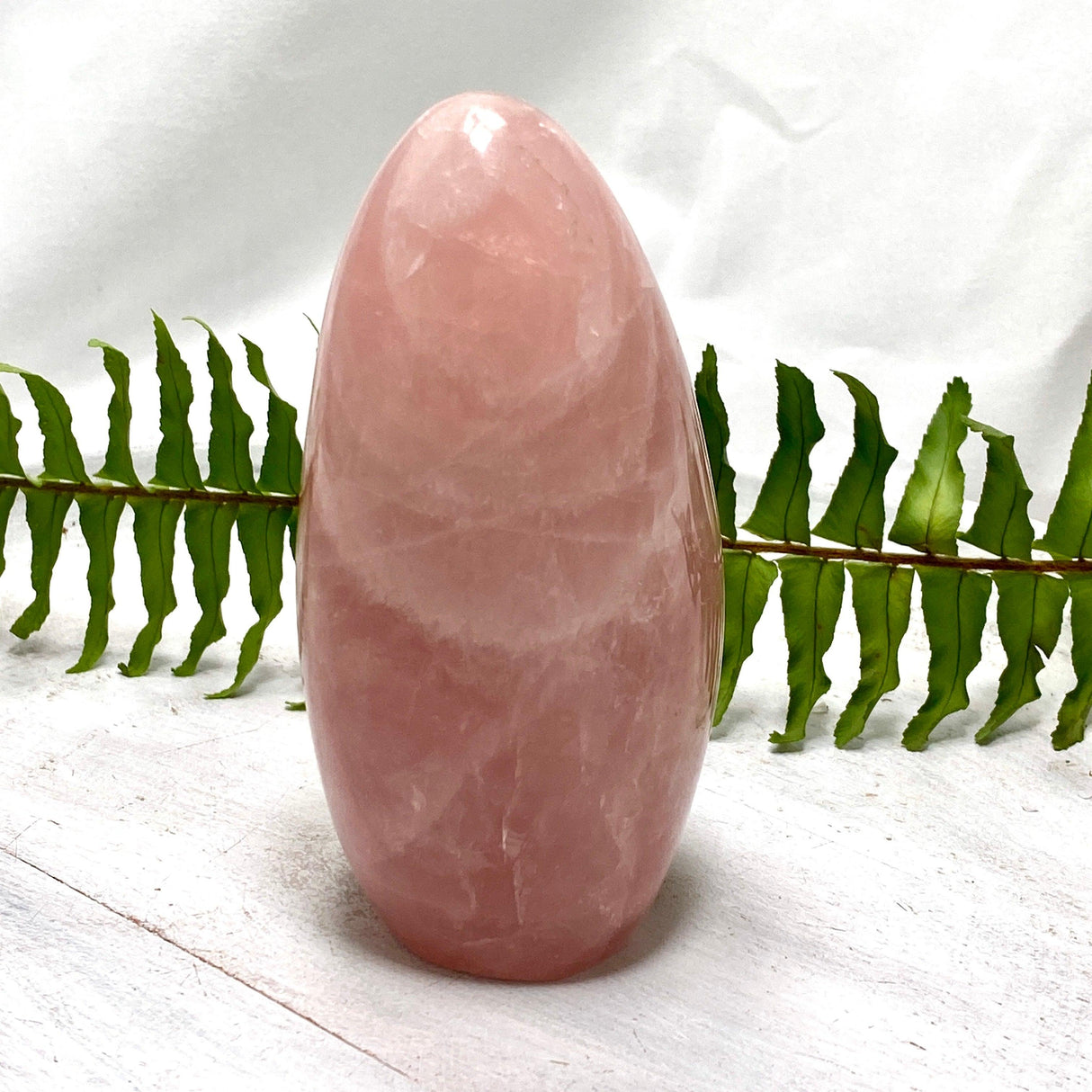 Rose Quartz Freeform RQFR-01 - Nature's Magick