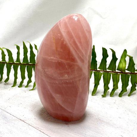 Rose Quartz Freeform RQFR-01 - Nature's Magick