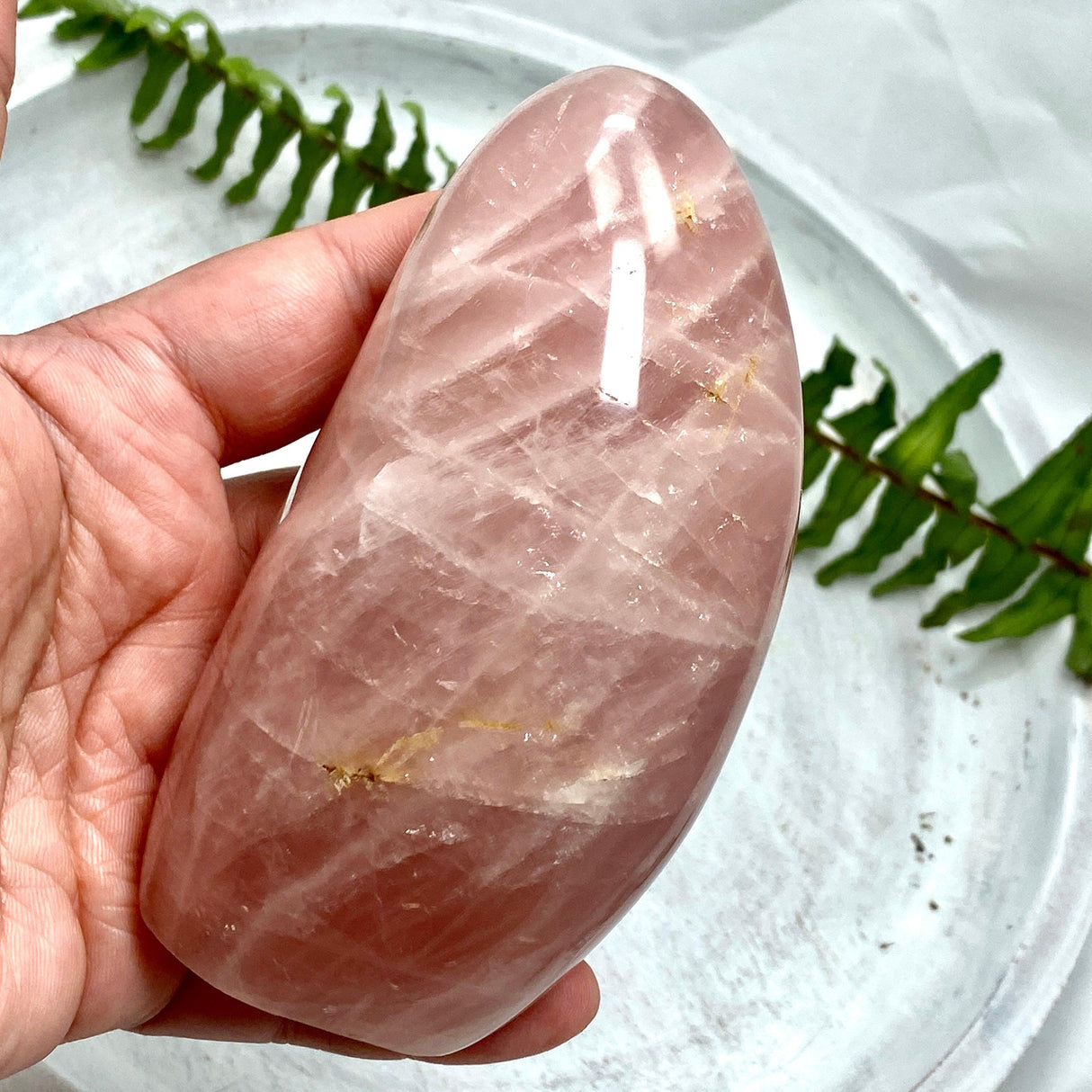 Rose Quartz Freeform RQFR-01 - Nature's Magick