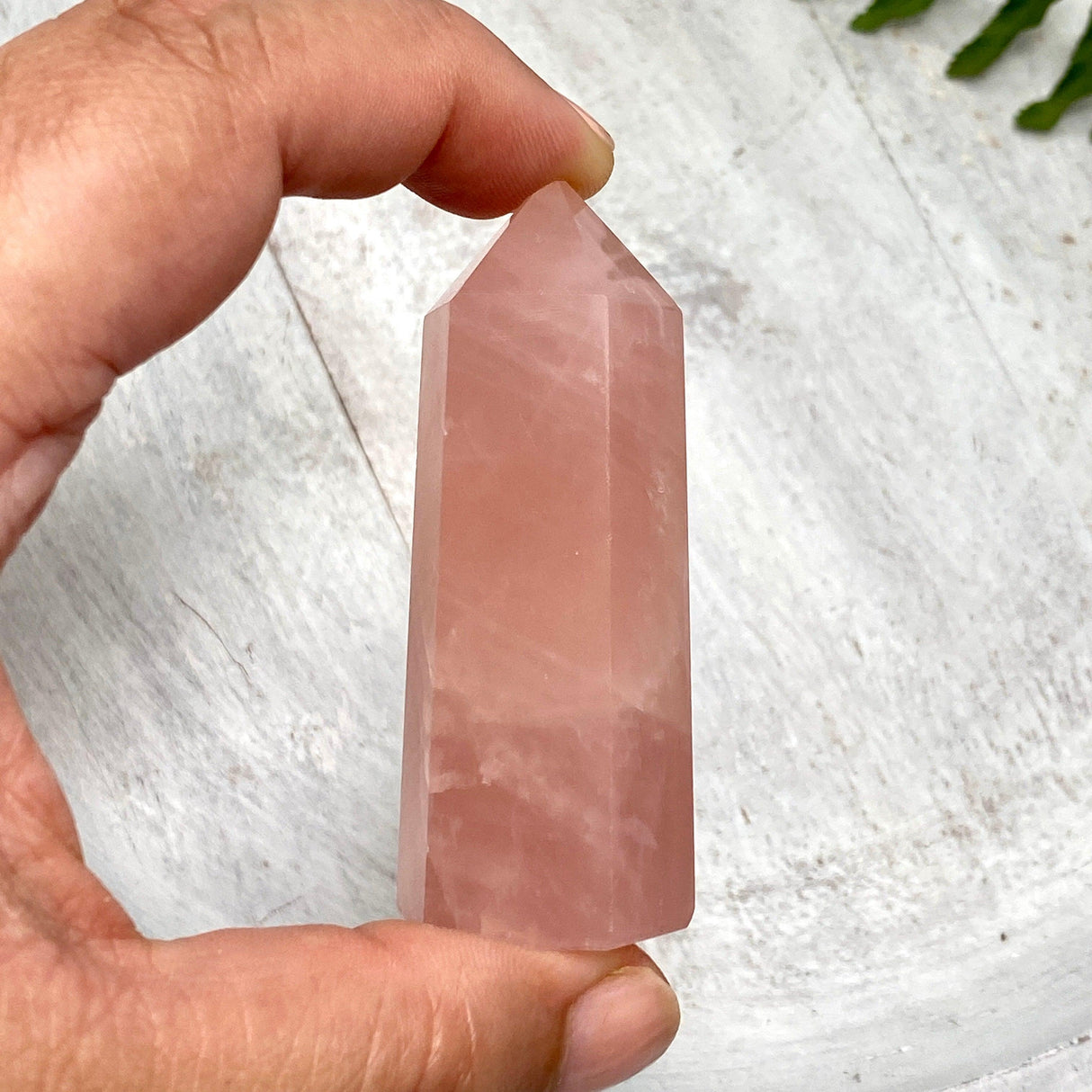 Rose Quartz generator RQG - Nature's Magick