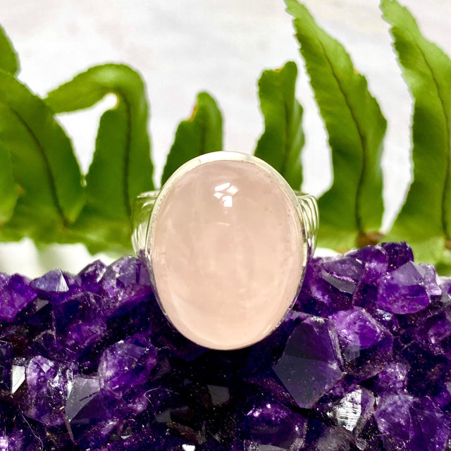 Rose Quartz oval cabochon ring s.7 KRGJ2041 - Nature's Magick