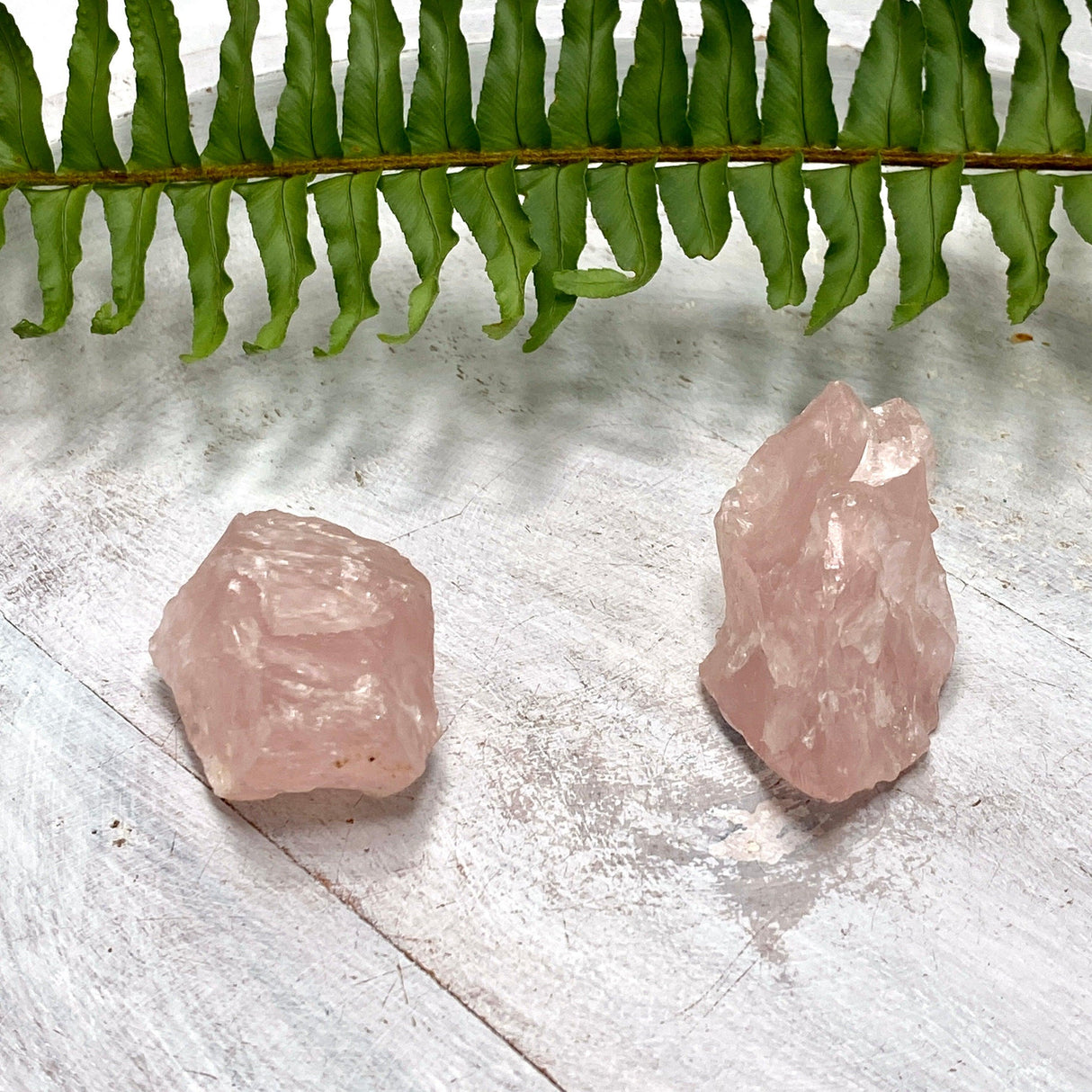 Rose Quartz Raw RQR - Nature's Magick