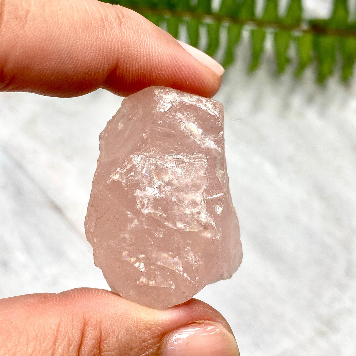 Rose Quartz Raw RQR - Nature's Magick