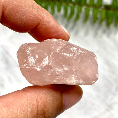 Rose Quartz Raw RQR - Nature's Magick