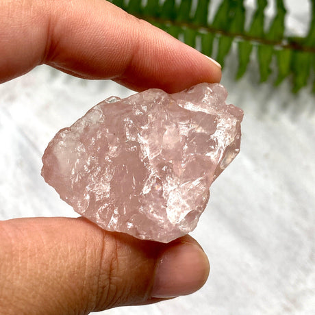 Rose Quartz Raw RQR - Nature's Magick