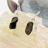 Shungite raw earrings KEGJ937 - Nature's Magick