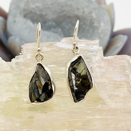 Shungite raw earrings KEGJ940 - Nature's Magick