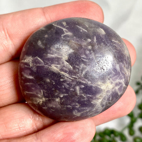 Smokey Lepidolite Palmstones/Gallets SLG - Nature's Magick