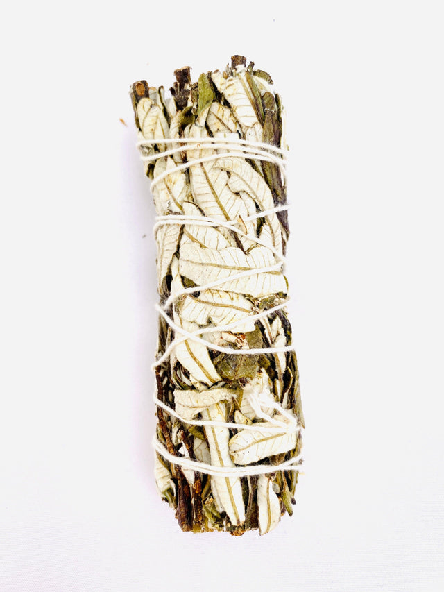 Smudge Stick - Yerba Santa - Nature's Magick