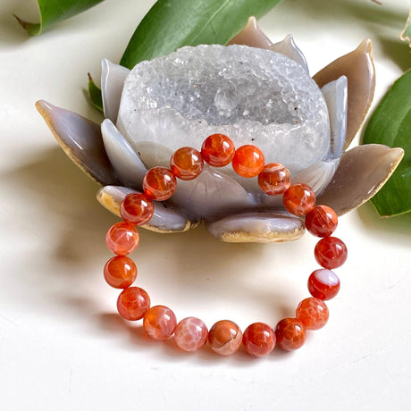 Snakeskin Agate bracelet - Nature's Magick