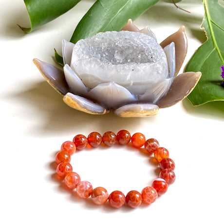 Snakeskin Agate bracelet - Nature's Magick