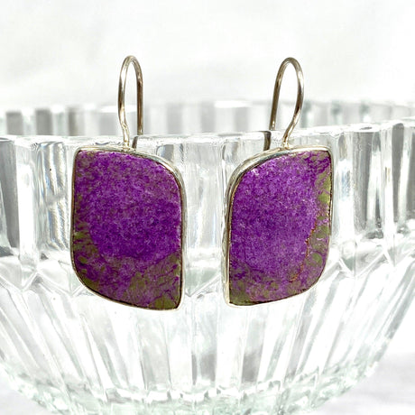 Stitchtite in Serpentine (Atlantasite) Fixed Hook Earrings KEGJ1245 - Nature's Magick