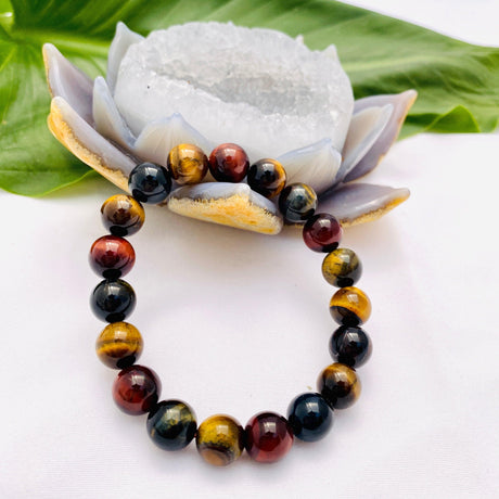 Tiger's Eye bracelet - Nature's Magick