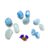 Tumbled Stone - Aquamarine TS-aquamarine - Nature's Magick