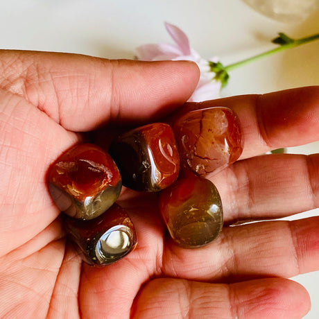 Tumbled Stone - Carnelian TS-CAR - Nature's Magick