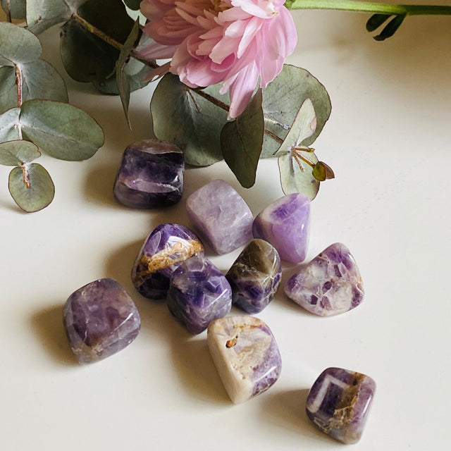 Tumbled Stone - Chevron Amethyst TS-AMCH - Nature's Magick