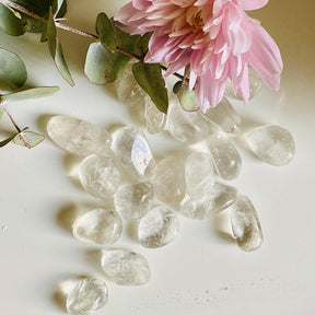 Tumbled Stone - Clear Quartz TS-CLQ - Nature's Magick