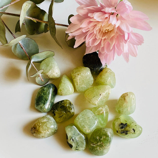 Tumbled Stone - Prehnite TS-PRE - Nature's Magick