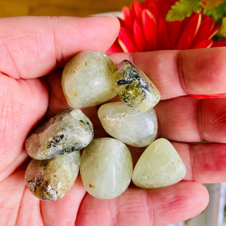 Tumbled Stone - Prehnite TS-PRE - Nature's Magick