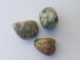 Tumbled Stone - Rainforest Jasper / Green Rhyolite - Nature's Magick