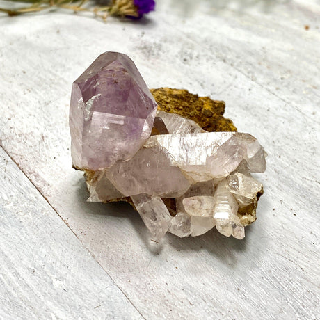 Vera Cruz Amethyt cluster VCA-04 - Nature's Magick