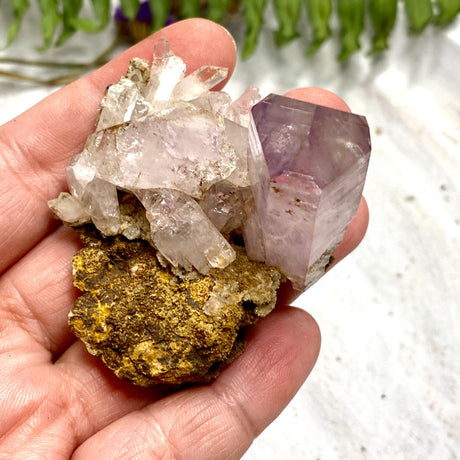 Vera Cruz Amethyt cluster VCA-04 - Nature's Magick