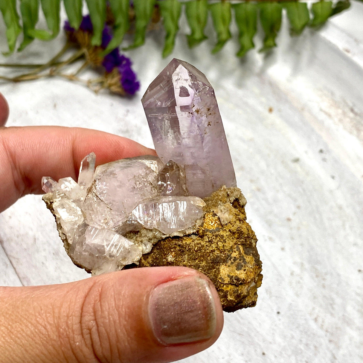 Vera Cruz Amethyt cluster VCA-04 - Nature's Magick